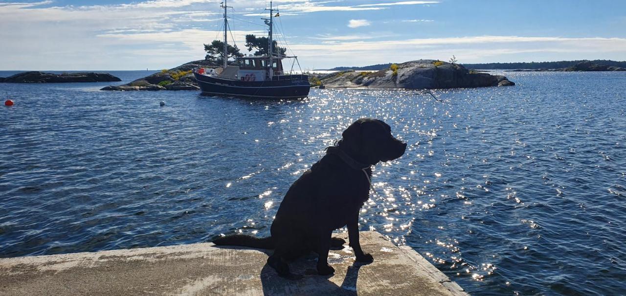 Moeja Stuga I Stockholms Skaergard Exteriér fotografie
